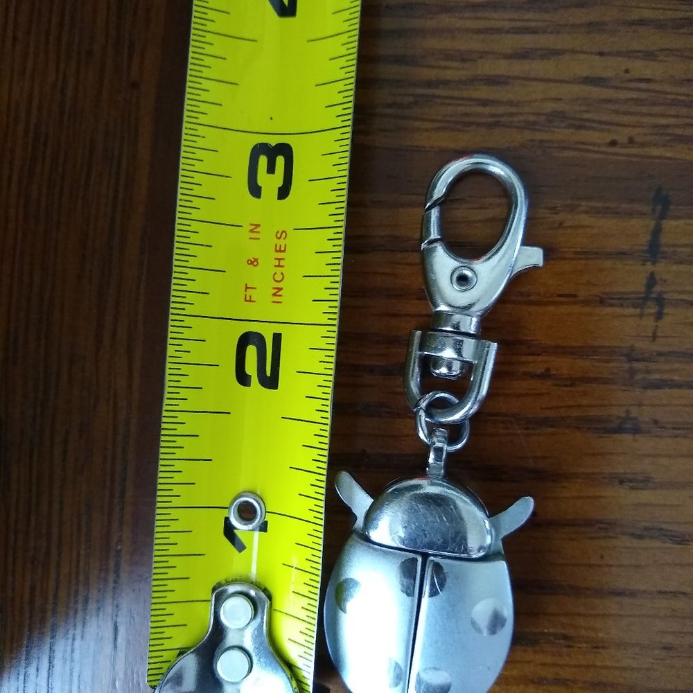 Ladybug Watch
